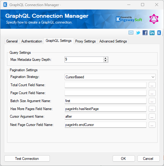 graphql connection manager - graphql settings.png